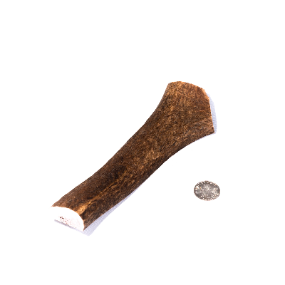 Medium Split Antler Dog Chew