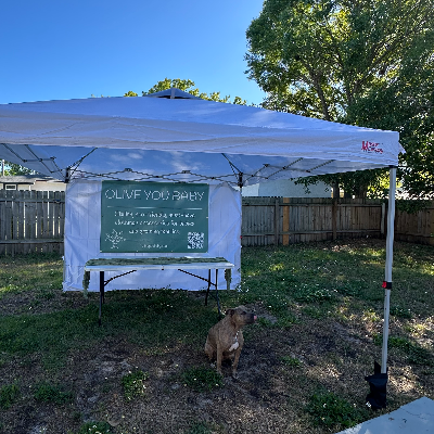 Tent For Market Event
