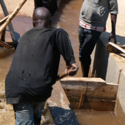 Tanzania Nsoga Iwezya - 5 Lb