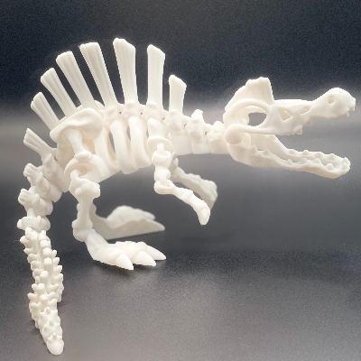 3d Printed Skeleton Toys