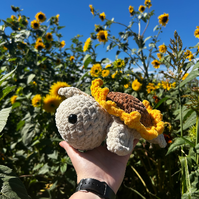 Sunflower Turtle
