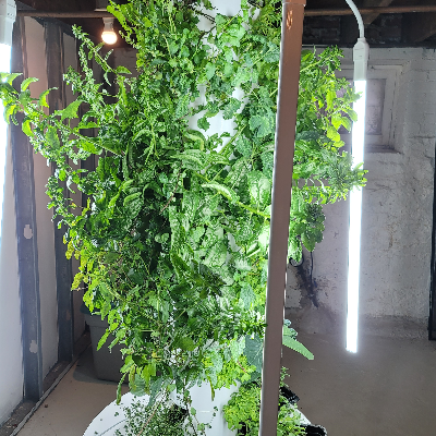 Tower Garden