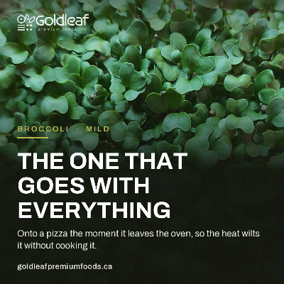 Live Broccoli Microgreens