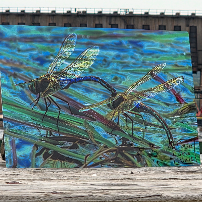 Large Format Fine Art Photography Prints