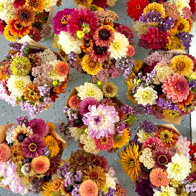 Farm Fresh Cut Flowers