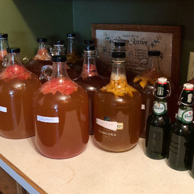 Fermented Foods & Drink