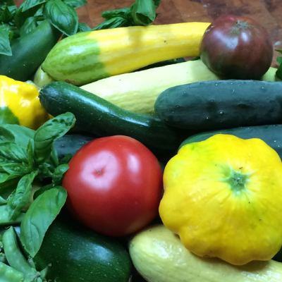 Squash- Zucchini, Zephar, Yellow Straight Neck