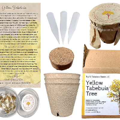 Yellow Tabebuia Grow Kit 10 Seeds