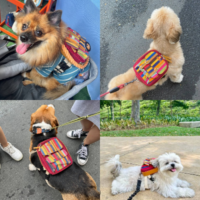 Ruffsack Handmade Dog Backpack With Harness – Dale In Stripes