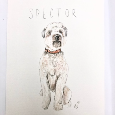 Custom Pet Portrait