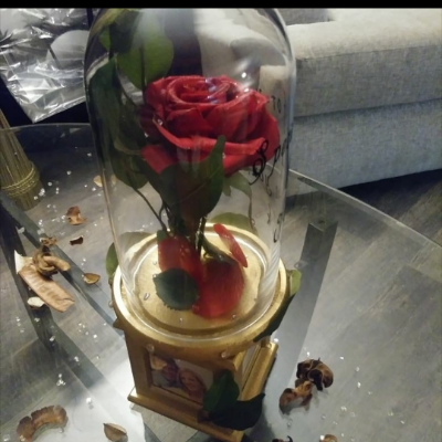 Red Beauty And The Beast Enchanted Flower Dome With Spinning Picture Frame