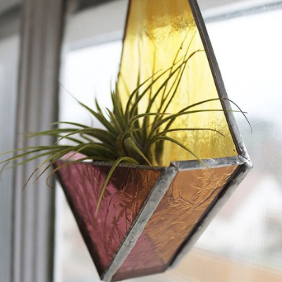 Air Plant Holders