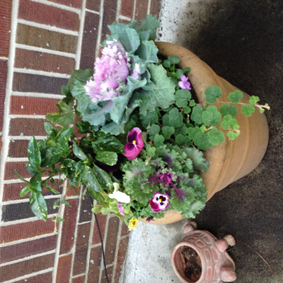 Container Garden By Peterson's Petals