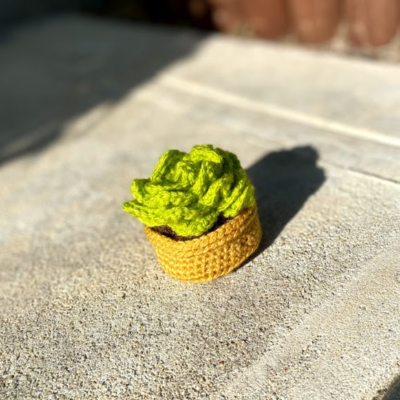 Crochet Small Plants Or Flowers