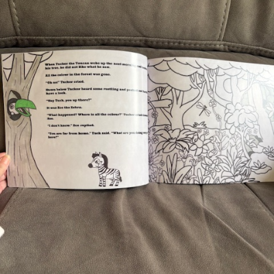 Where Did All The Colour Go? - Book 'N Buddy Combo