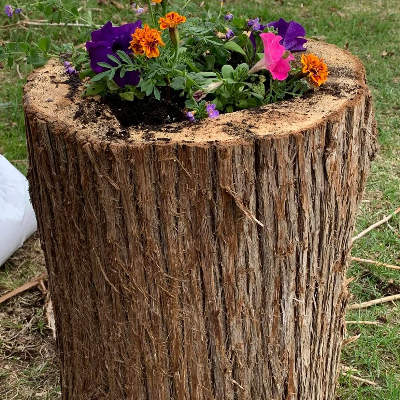 Cedar Planters