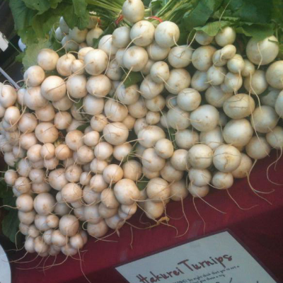 Turnips (Hakurei)