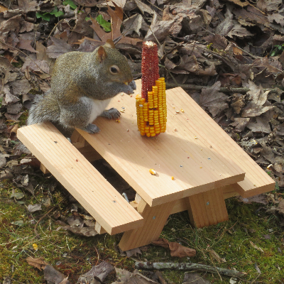 Table Bird & Squirrel Feeder