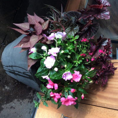 Container Garden By Peterson's Petals