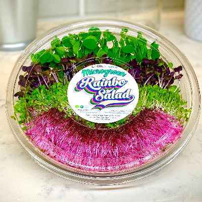 Microgreen Rainbo Salad