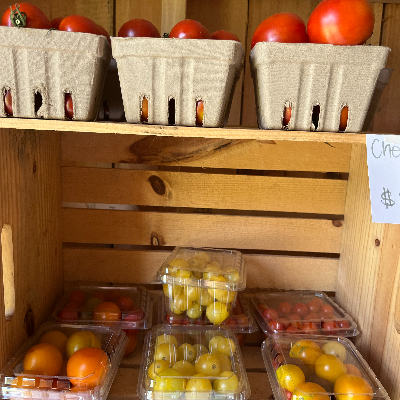 Produce And Plant Starts