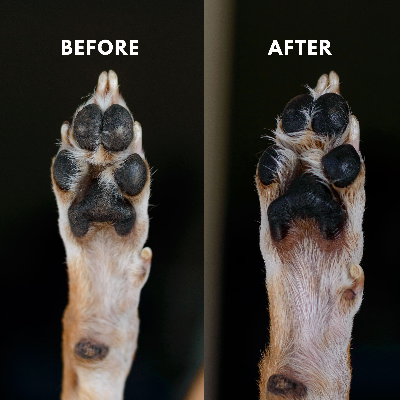 Refreshing Paw & Body Soak