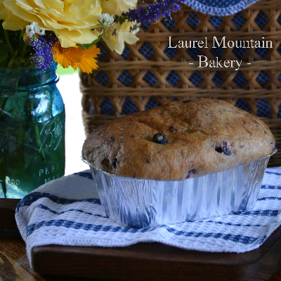 Laurel Mountain Blueberry Sourdough Bread