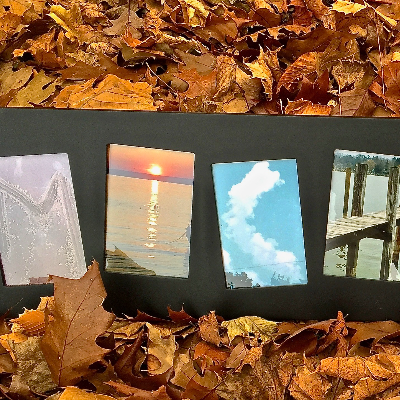 Fresh Photography From Detroit And Michigan And Around