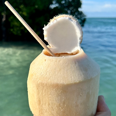 Shaved Coconut