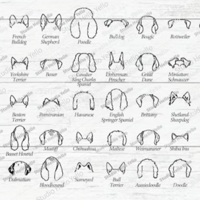 Dog Ear String Art