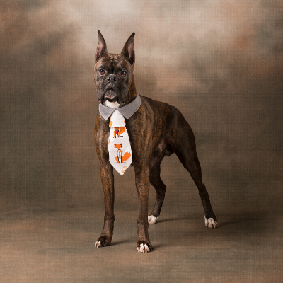 Dog Shirt Collar Ties