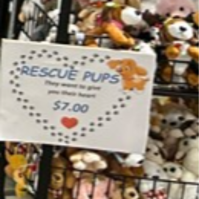 Rescue Pups