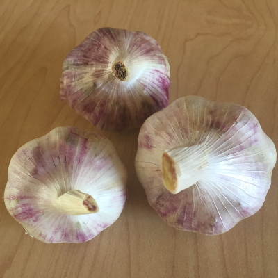 Organic Heirloom Garlic