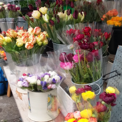 Seasonal Cut Flowers