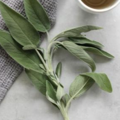 Sage