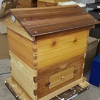 Hive Boxes And Components