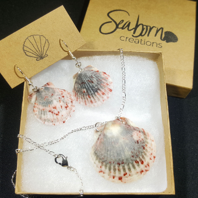 Gray And Red Patterned Scallop Shell Jewelry Set