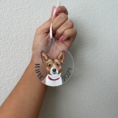 Custom Handpainted Pet Christmas Ornaments