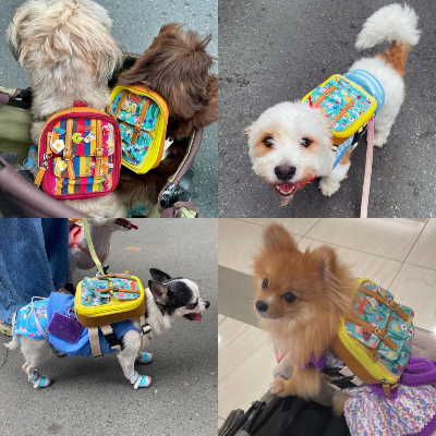 Ruffsack Handmade Dog Backpack With Harness – Dale In Yellow Floral