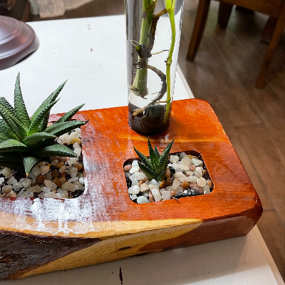 Handmade Cedar Planter With Succulents And Houseplants