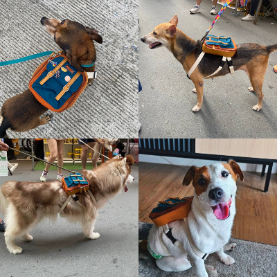 Ruffsack Handmade Dog Backpack With Harness – Dale In Rust