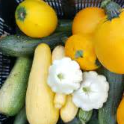 Squash (Straight Neck, Crooked Neck & Pattypan)