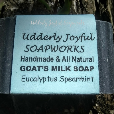 Eucalyptus Spearmint Goat's Milk Soap