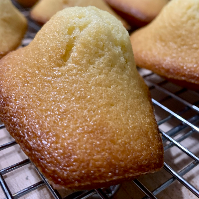 Travel Cakes/ Mini Cakes