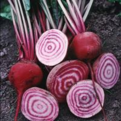 Striped Beets