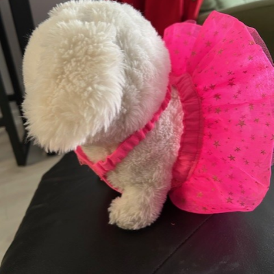 Summer Doggy Tutu's