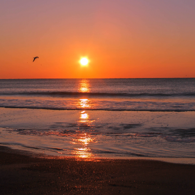 Hilton Head Sunrise 4 Print