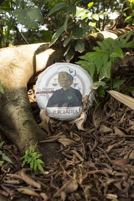 Premium Loose Leaf Chinese Teas From Ancient Tea Trees Packaged In Indiana.