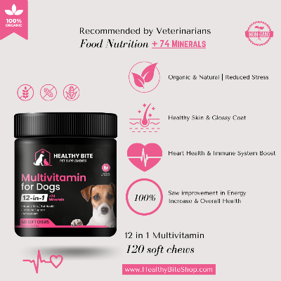 Healthy Bite 12 In 1 Multivitamin For Dogs - Premium Organic & Natural Soft Chews - Skin, Coat, Oral Health, Immune System Boost, Corn Soy Grain Free, Bacon Flavor, 120 Count