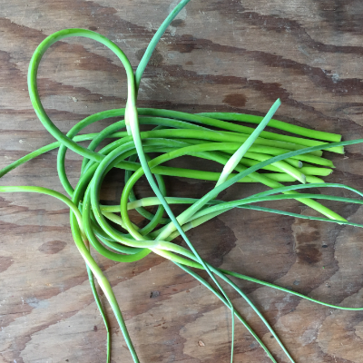 Garlic Stems (Scapes)